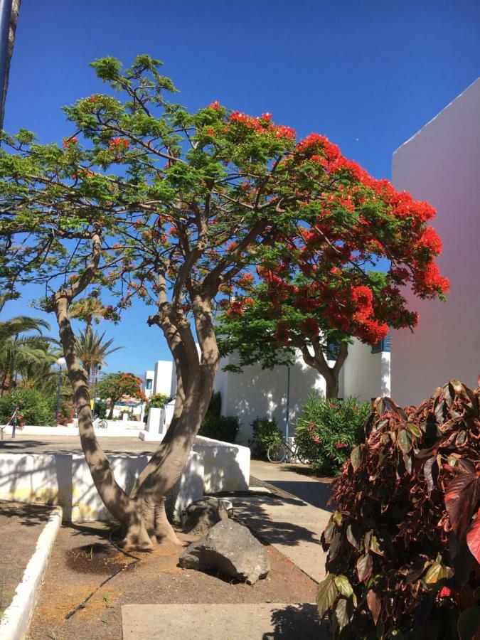 Los Barqueros Corralejo "Beach Front - Town Centre" Apartman Kültér fotó